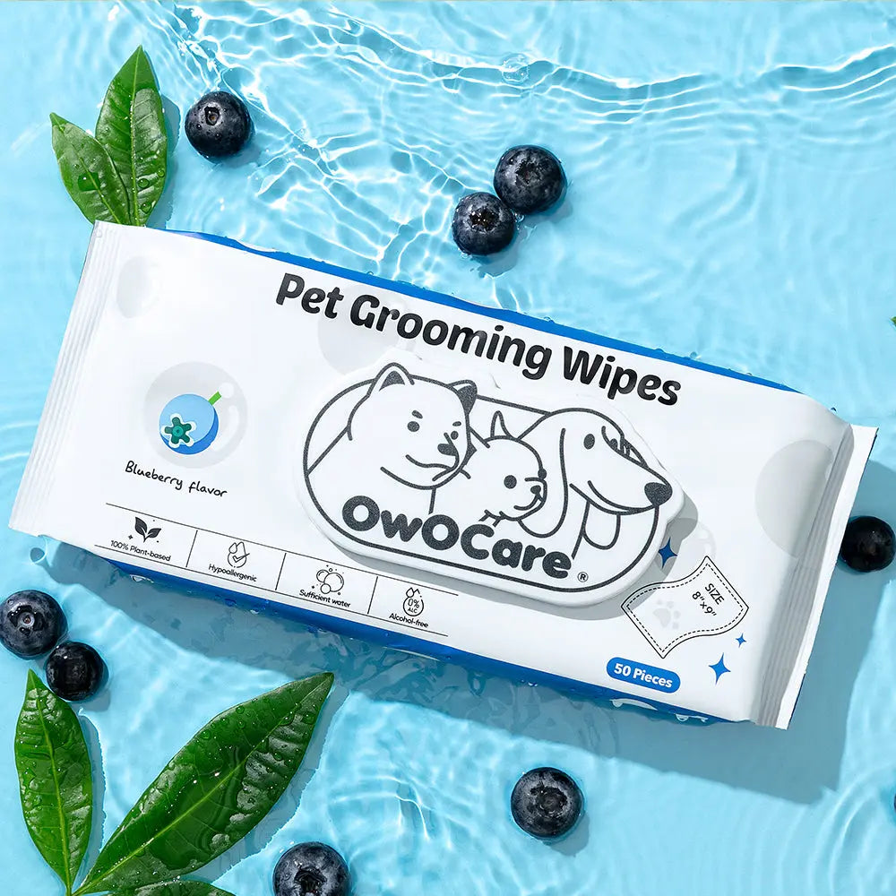 Blueberry scent Pet Wipes OWOCARE