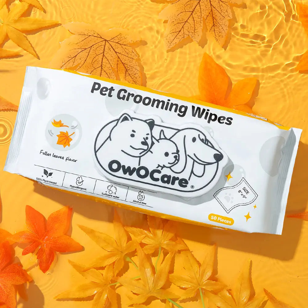 Fallen leaves scent Pet Wipes OWOCARE